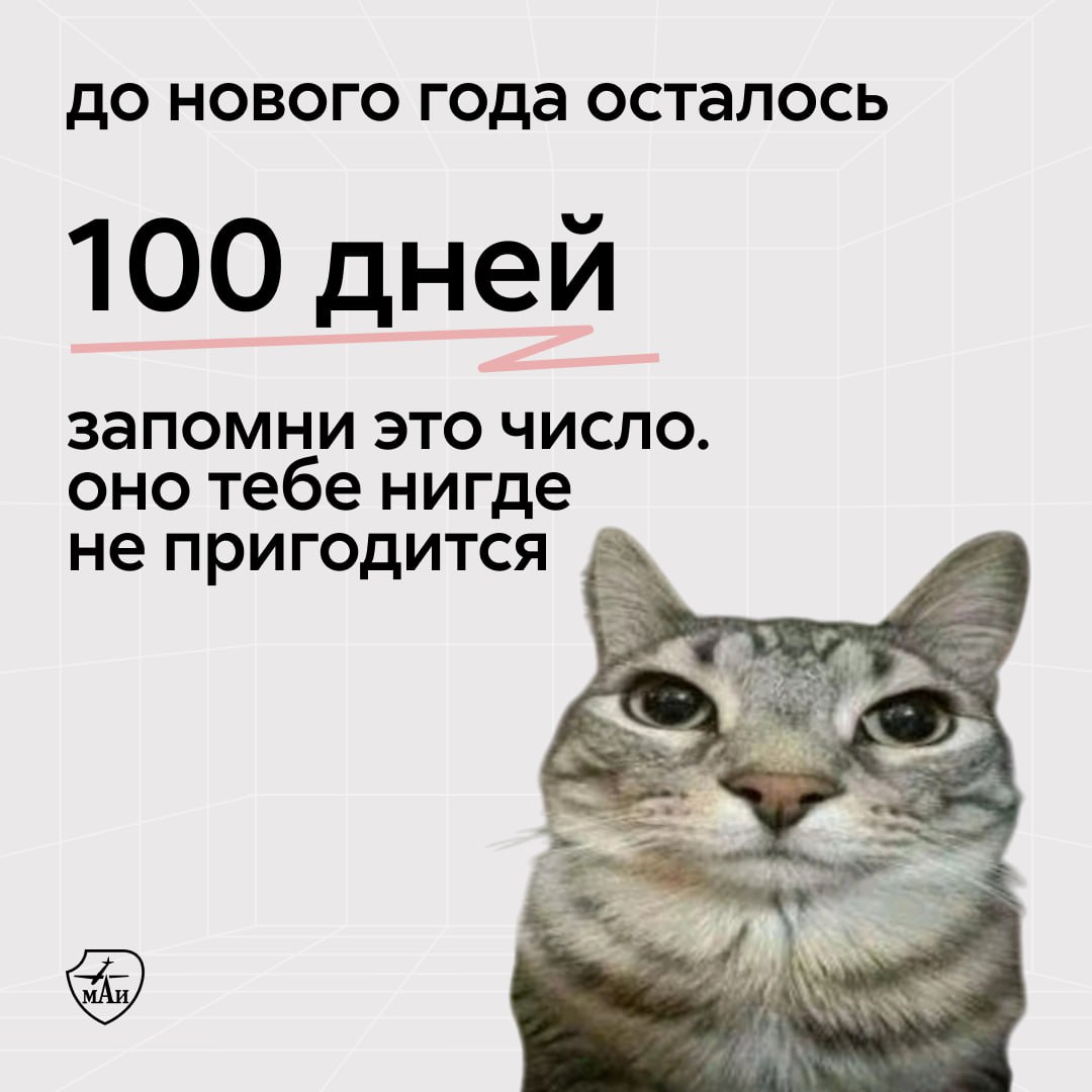 strela_mai